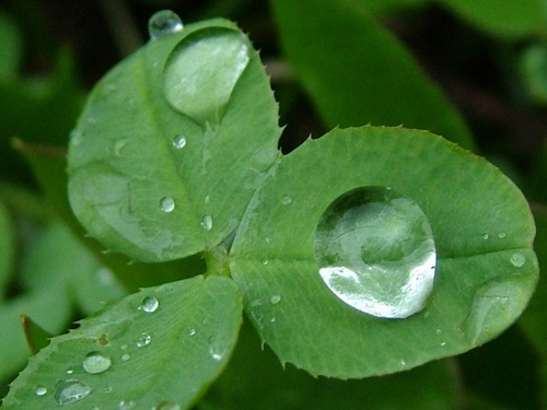 Cầu trời mưa xuống
